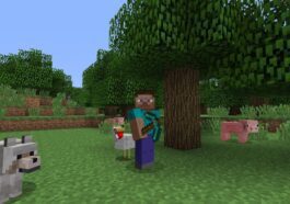 Comment se téléporter dans Minecraft 21 1722424581 Comment Se Teleporter Dans Minecraft.jpeg