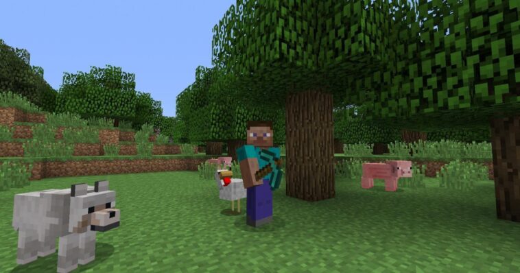 Comment se téléporter dans Minecraft 1 1722424581 Comment Se Teleporter Dans Minecraft.jpeg