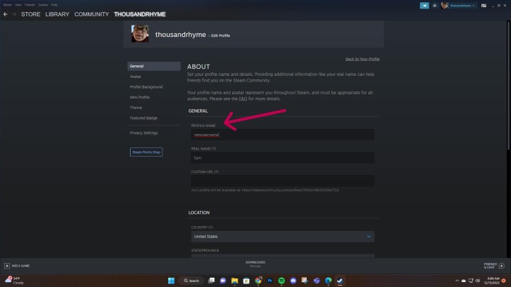 Comment changer votre nom d'utilisateur Steam 5 Page de modification du profil Steam.