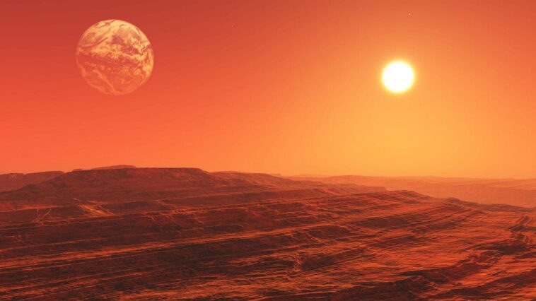 Avons-nous la première plante qui peut pousser sur Mars: est-ce le début de la colonisation humaine 1 Immagine