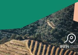 BUPi 2.0: nova app para identificar e registar os seus terrenos