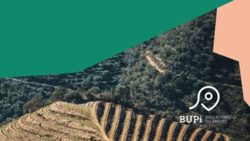 BUPi 2.0 : nouvelle application pour identifier et enregistrer vos terrains 29 BUPi 2.0: nova app para identificar e registar os seus terrenos