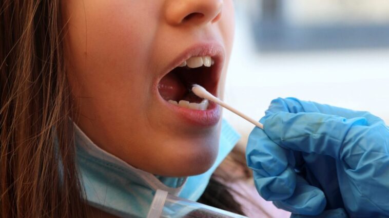 Cellules du cancer tuées par une bactérie de la bouche : peut-être savons-nous comment "dissoudre" certaines tumeurs 1 Image