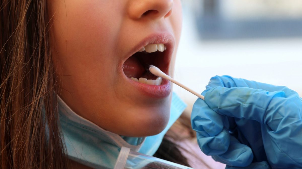 Cellules du cancer tuées par une bactérie de la bouche : peut-être savons-nous comment "dissoudre" certaines tumeurs 2 Image