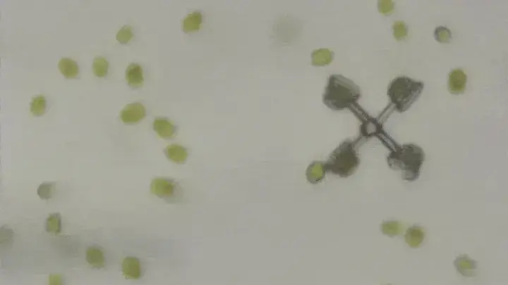 Ces véhicules minuscules sont conduits par quelque chose que vous n'imagineriez jamais 2 Image de petits véhicules, les microrobots, naviguant à l'intérieur des veines