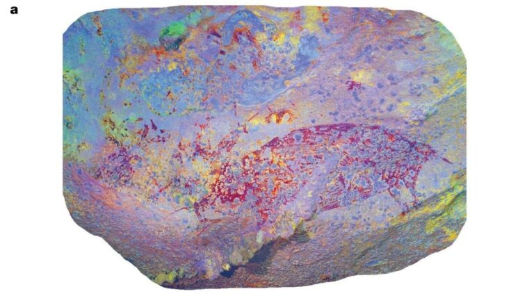 Cette peinture rupestre découverte en Indonésie est la plus ancienne de tous les temps: elle a au moins 51 200 ans 1 La peinture rupestre d'au moins 51 200 ans découverte sur l'île de Sulawesi. Crédit : Oktaviana et al., Nature, 2024