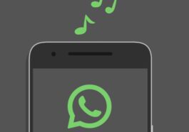 Comment télécharger des sons originaux pour WhatsApp : les 6 meilleurs sites et applications