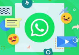 WhatsApp espace sécurité téléchargement option