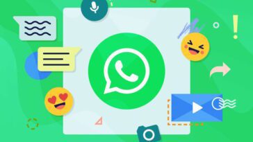 Conseil : cette option de WhatsApp vous permet d'économiser de l'espace et d'augmenter votre sécurité 14 WhatsApp espace sécurité téléchargement option