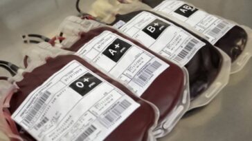 Dans certaines circonstances rares, votre type de sang peut changer 19 Em determinadas circunstâncias raras, o seu tipo de sangue pode mudar