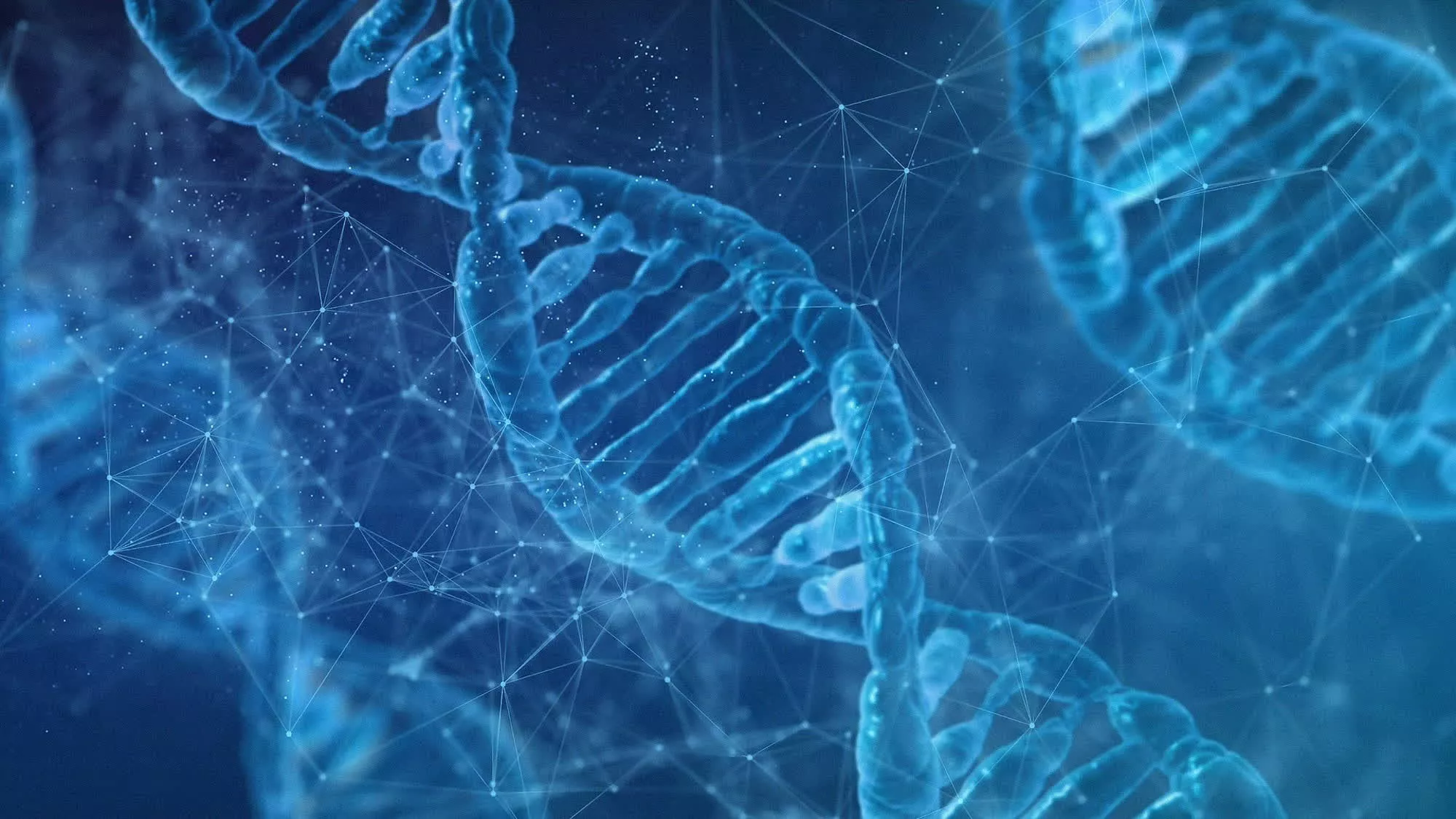 Des scientifiques incitent les cellules cancéreuses à s'autodétruire grâce à l'édition génétique 2 Des scientifiques incitent les cellules cancereuses a sautodetruire grace a