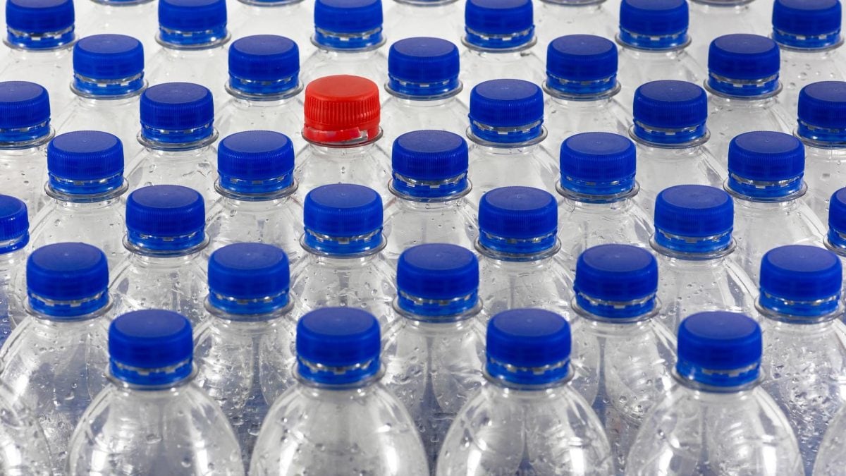 Désormais, les bouchons qui ne se détachent pas des bouteilles deviennent obligatoires: pourquoi c'est une loi qui a du sens 2 Immagine