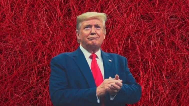 Donald Trump est sur le point de revenir sur les réseaux sociaux: Facebook et Instagram lèvent les restrictions 1 Image