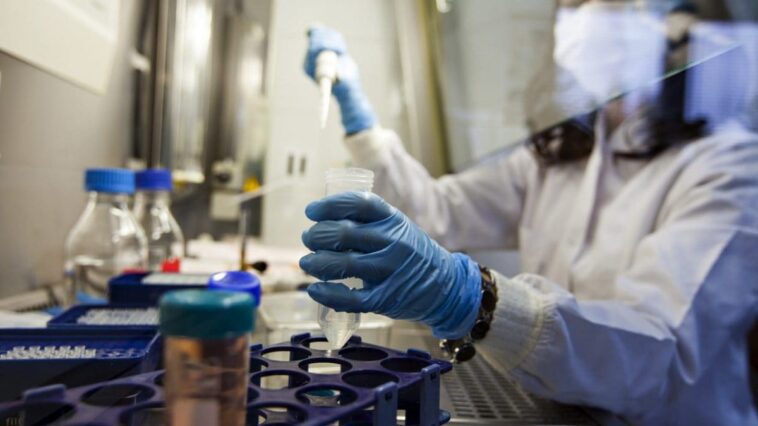 Il guérit du VIH après une greffe de cellules souches, c'est le septième patient au monde à vaincre le virus 1 Immagine