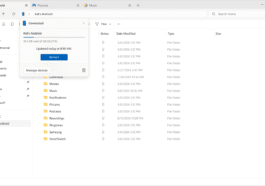 Windows 11