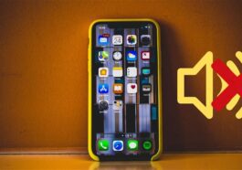 Pourquoi le téléphone ne sonne pas et que faire pour y remédier