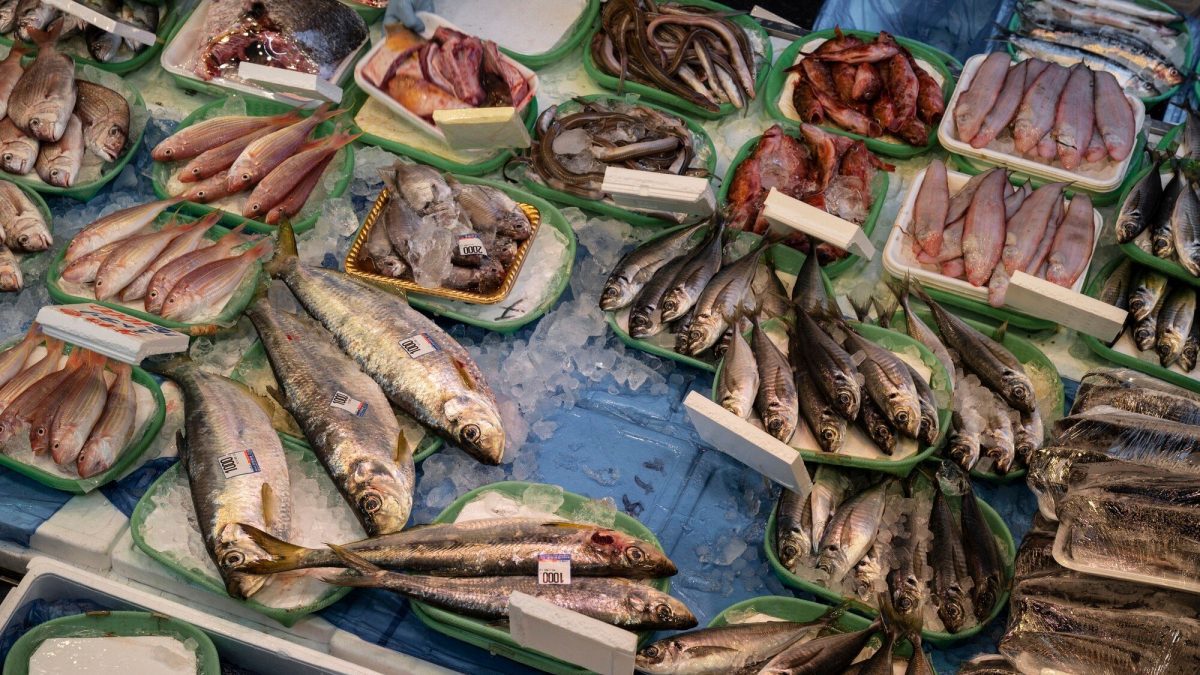 Pourquoi nous ne devrions plus manger de poisson jusqu'à la fin de l'année 2 Immagine