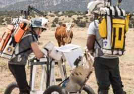 NASA | Photo de Josh Valcarcel, les deux astronautes en Arizona durant la simulation d'Artemis III
