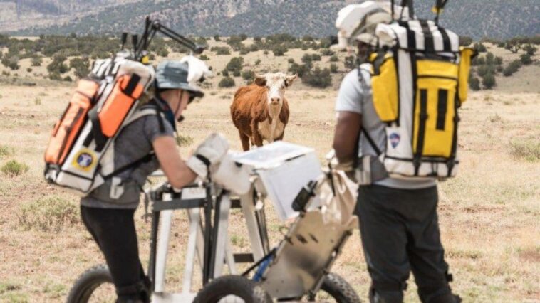 Que font les astronautes avec une vache : la photo pendant les tests de la Nasa pour le voyage lunaire 1 NASA | Photo de Josh Valcarcel, les deux astronautes en Arizona durant la simulation d'Artemis III