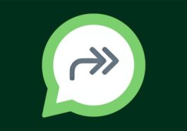 Que signifie la double flèche de WhatsApp et pourquoi cette icône s'affiche