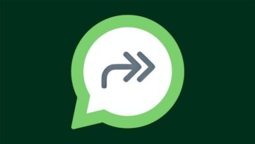 Que signifie la double flèche de WhatsApp et pourquoi cet icône s'affiche 21 Que signifie la double flèche de WhatsApp et pourquoi cette icône s'affiche