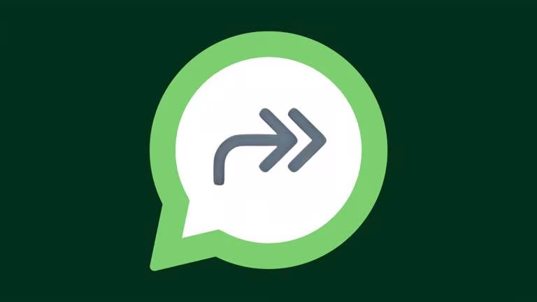 Que signifie la double flèche de WhatsApp et pourquoi cet icône s'affiche 2 Que signifie la double flèche de WhatsApp et pourquoi cette icône s'affiche