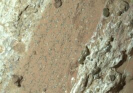 Tracce di vita su Marte? Scoperta una roccia unica che apre la strada a un nuovo scenario