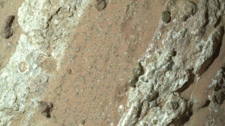 Traces de vie sur Mars ? Découverte d'une roche unique qui ouvre la voie à un nouveau scénario 1 Tracce di vita su Marte? Scoperta una roccia unica che apre la strada a un nuovo scenario