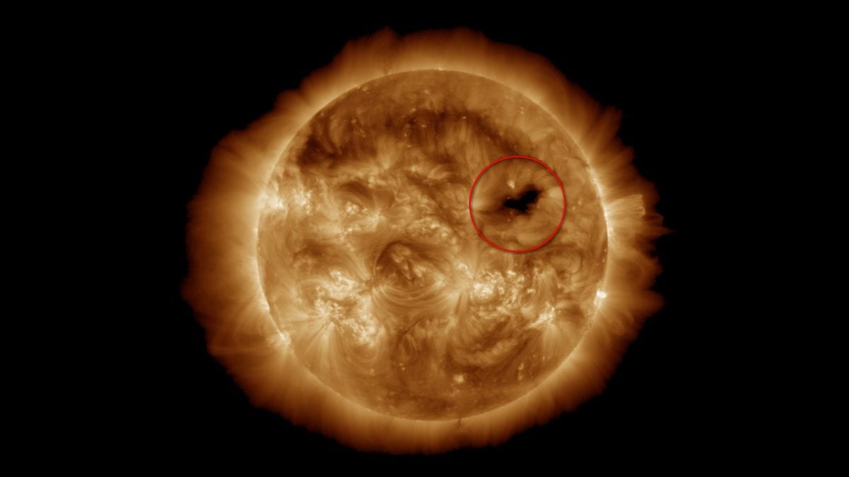 Une tempête solaire attendue le week-end du 13-14 juillet : déclenchée par un énorme trou coronal 2 Le trou coronal responsable de la tempête géomagnétique. Crédit : SDO/AIA