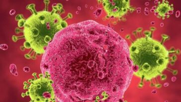 VIH : un médicament de prévention a obtenu un taux de succès de 100 % dans un essai 23 VIH