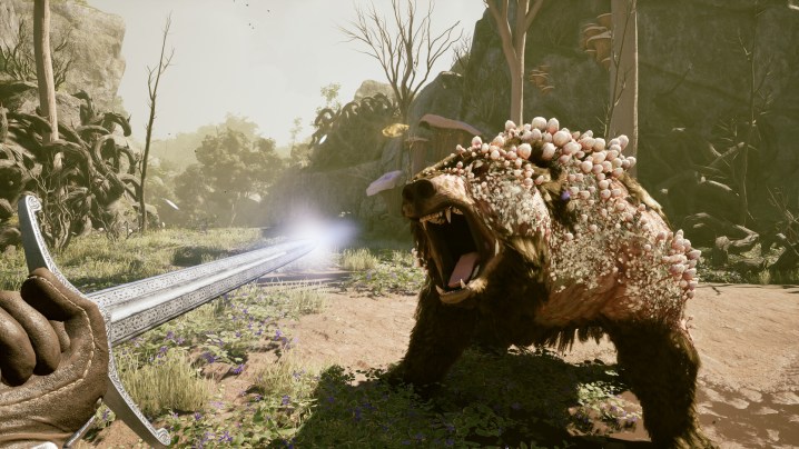 Avowed : période de sortie, bandes-annonces, gameplay, et plus 4 Combattre un ours géant infecté de champignons dans Avowed