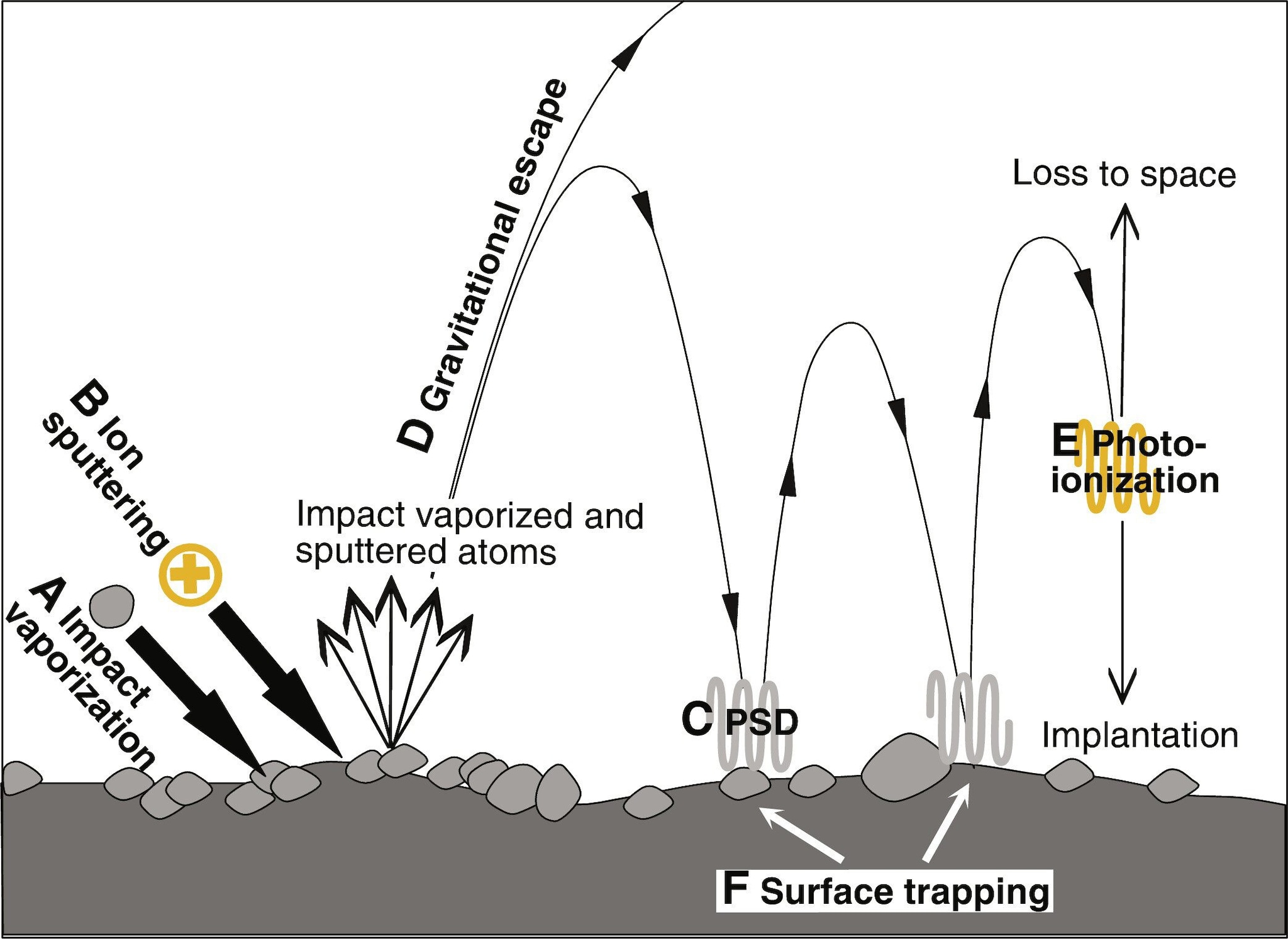 Sur la Lune, il n'y a pas d'air respirable, mais une fine atmosphère persiste depuis des milliards d'années : comment est-ce possible 3 Les processus possibles qui donnent naissance et alimentent l'atmosphère lunaire : A) vaporisation par impact de météoroïdes, B) sputtering ionique du vent solaire et C) désorption stimulée par des photons : la vaporisation par impact et le sputtering ionique libèrent des atomes des roches, tandis que la désorption stimulée par des photons ne libère que des atomes adsorbés faiblement liés. Une fois que les atomes sont libérés par vaporisation par impact et sputtering ionique, une fraction d'entre eux est perdue dans l'espace par fuite gravitationnelle (D), tandis qu'une partie commence à rebondir sur la surface lunaire avant de se disperser dans l'espace ou d'être réintégrée sur la surface par photoionisation (E) ou piégeage permanent (F). Crédit : Nie N. et al., Science Advances 2024.