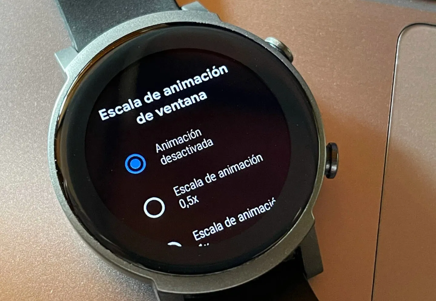 Écran du menu Wear OS pour désactiver les animations