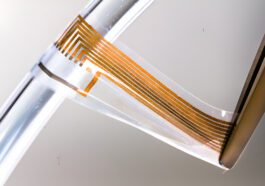 Researchers create soft gold nerves using conductive nanowires