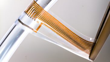 Les chercheurs créent des électrodes avec de l'or qui interagissent avec le système nerveux humain 27 Researchers create soft gold nerves using conductive nanowires