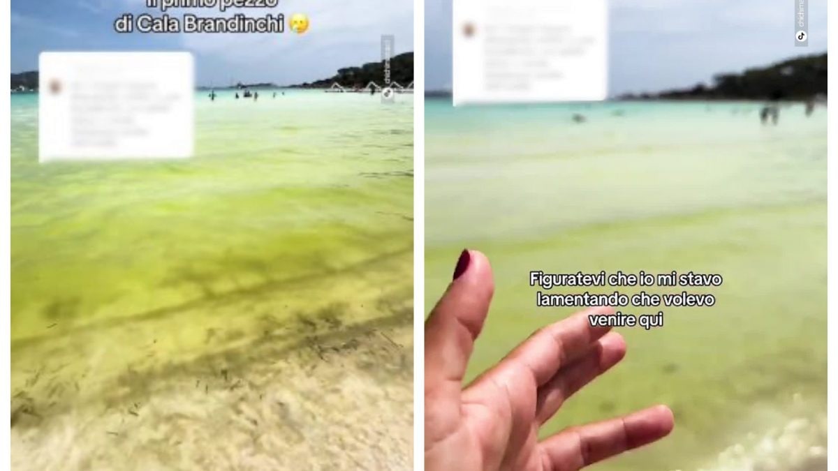 Que se passe-t-il sur la plage sarde de Cala Brandinchi : les vidéos de l'eau devenue verte 2 Image