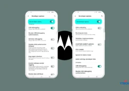 how to enable developer options on Motorola