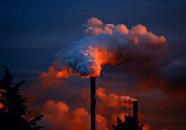Low-cost innovation regulates building temperatures while slashing energy use