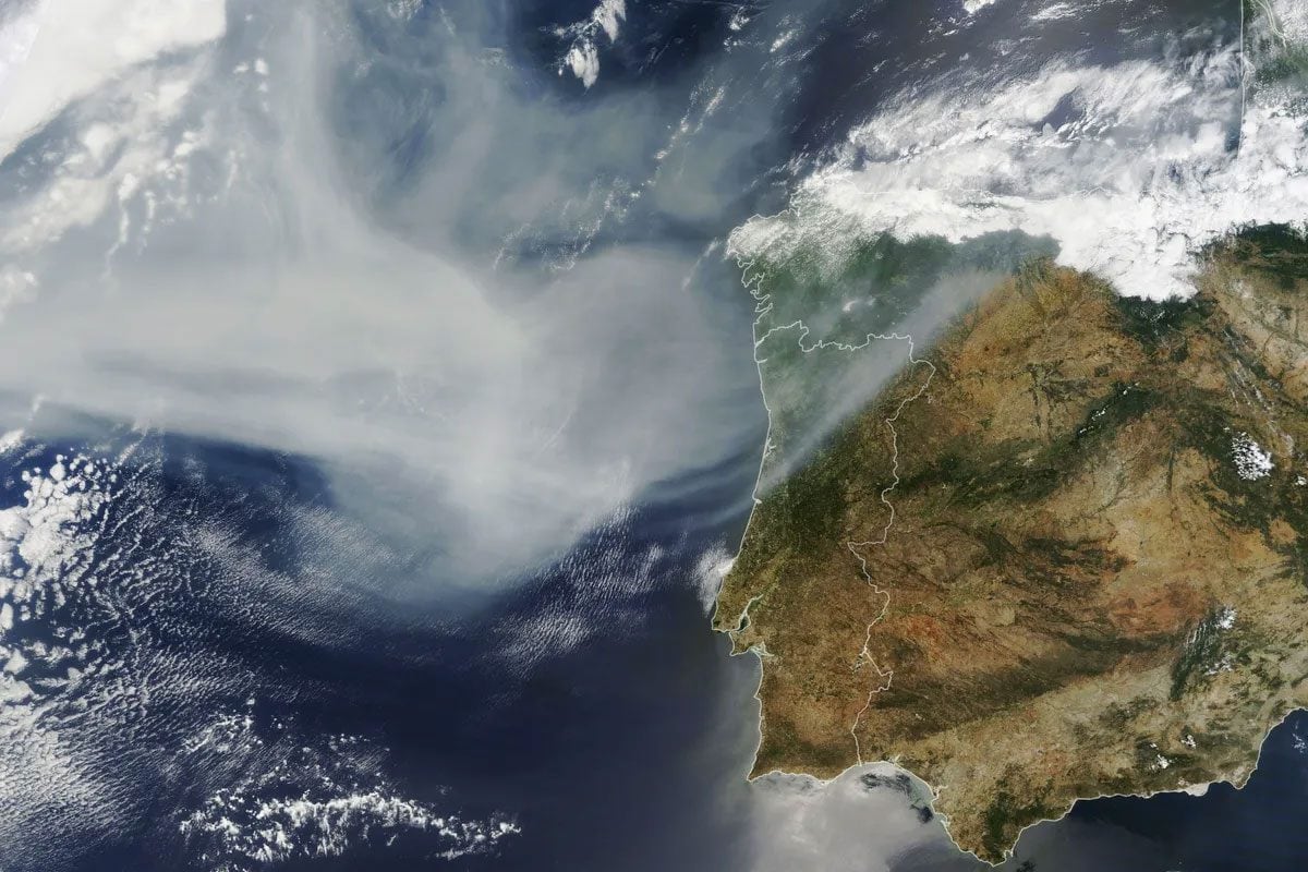 Les incendies au Canada en 2023 ont émis 2 milliards de tonnes de CO2 : c'est un problème énorme 4 Image
