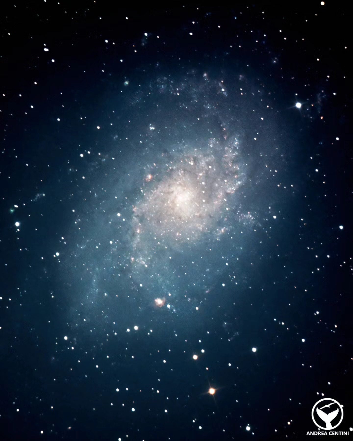Galaxie du Triangle. Crédit : Andrea Centini