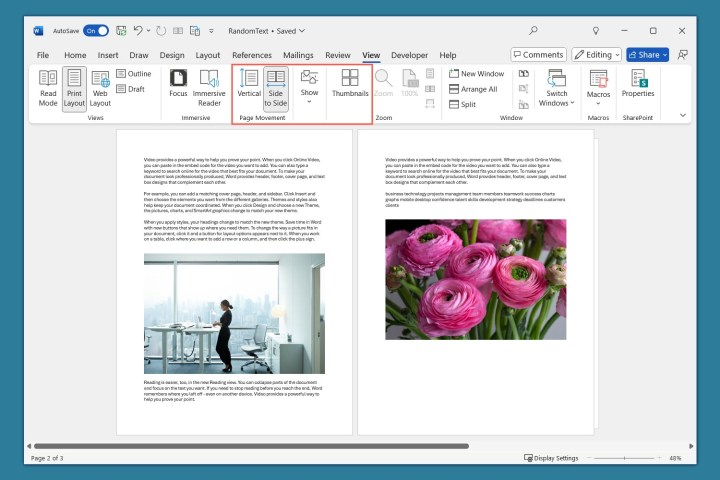 Comment convertir Word en PDF ou JPEG 8 Options de page dans l'onglet Affichage de Word.