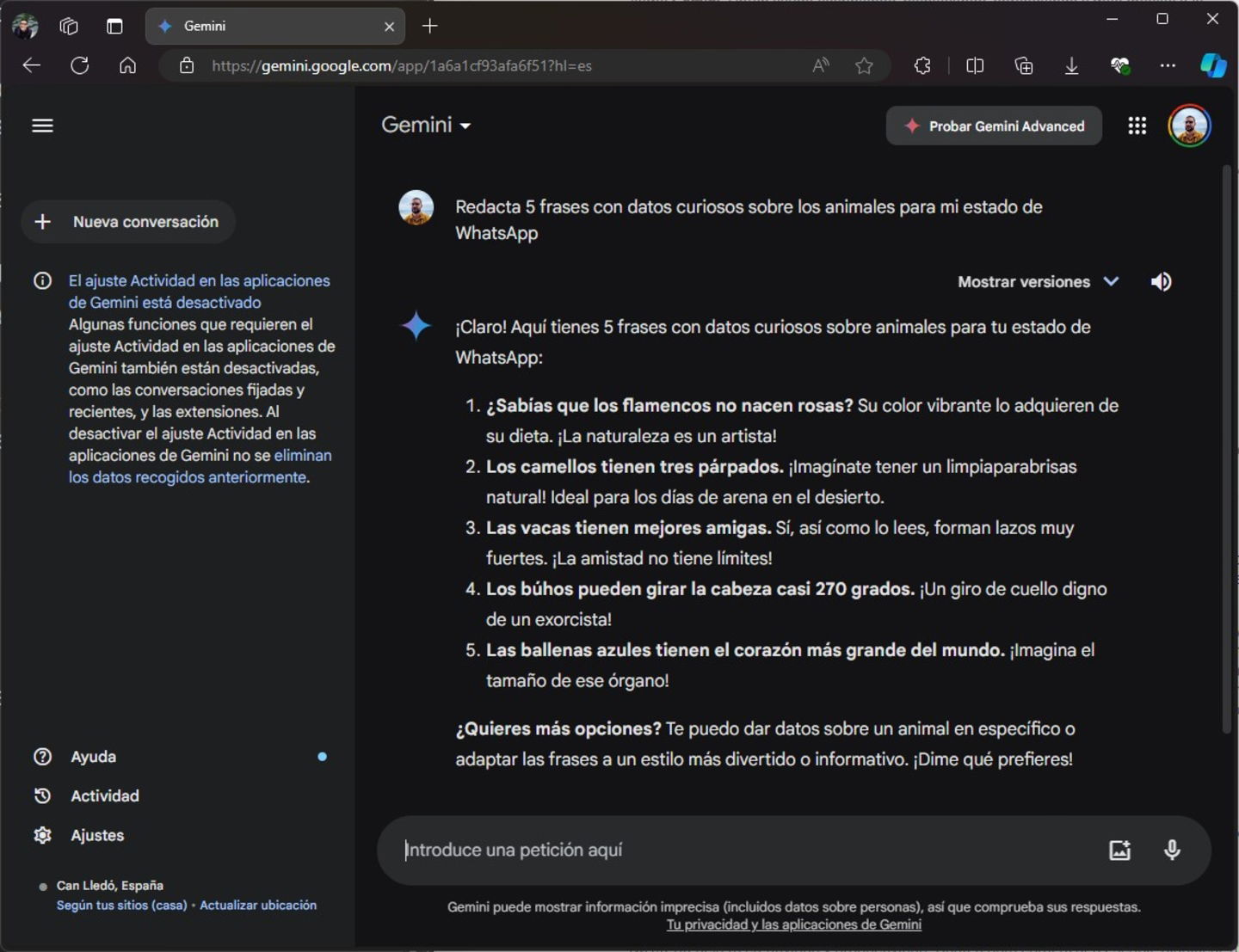 Comment générer des phrases WhatsApp en utilisant l'Intelligence Artificielle 5 Comment générer des phrases WhatsApp en utilisant l'intelligence artificielle
