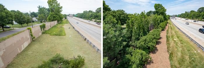 Ils plantent des arbres dans un quartier et réduisent le risque de crise cardiaque et cancer des résidents 3 Le quartier impliqué dans l'étude, avant et après la plantation des arbres. Crédit : Mike Wilkinson pour The Nature Conservancy
