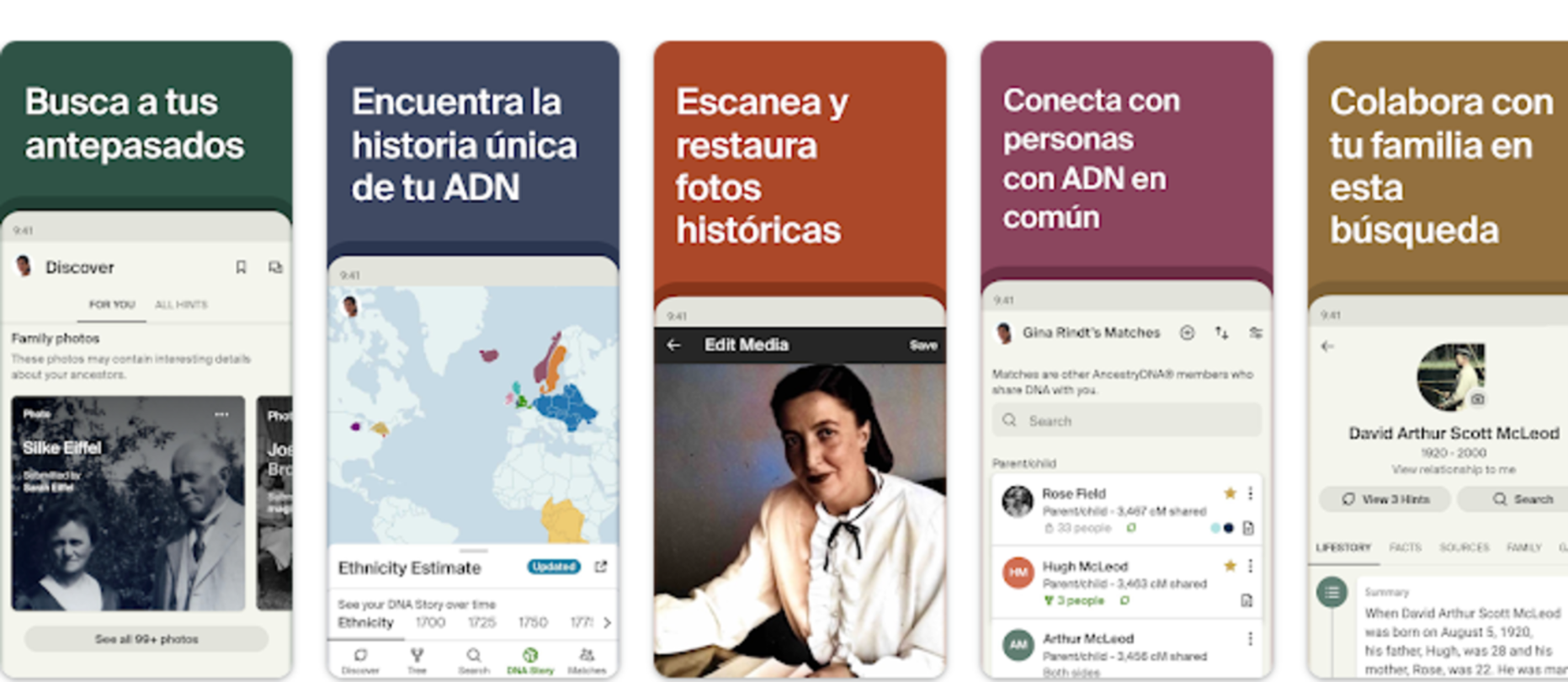 Les meilleures applications pour faire des arbres généalogiques gratuits et en ligne 5 Ancestry vous permet de trouver vos ancêtres en ligne