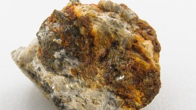 Nous savons désormais pourquoi le météorite tombé à Berlin sentait les œufs pourris 1 Un petit fragment (6,5 mm) de la météorite Ribbeck trouvé 6 jours après l'impact avec la Terre : sa surface montre déjà des effets de l'altération terrestre / Crédit : Bischoff A. et al., Meteoritics & Planetary Science 2024.