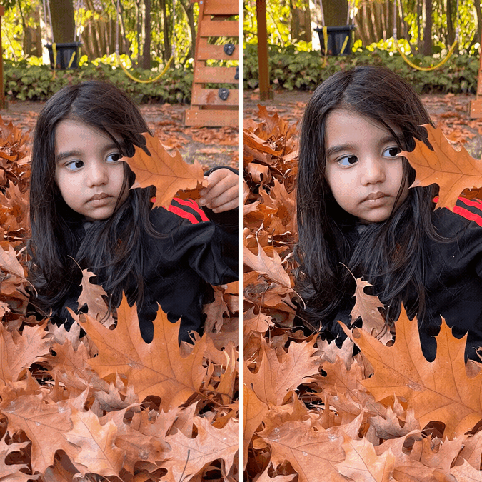 Comment animer des photos en utilisant l'intelligence artificielle 4 Comment animer des photos en utilisant l'intelligence artificielle