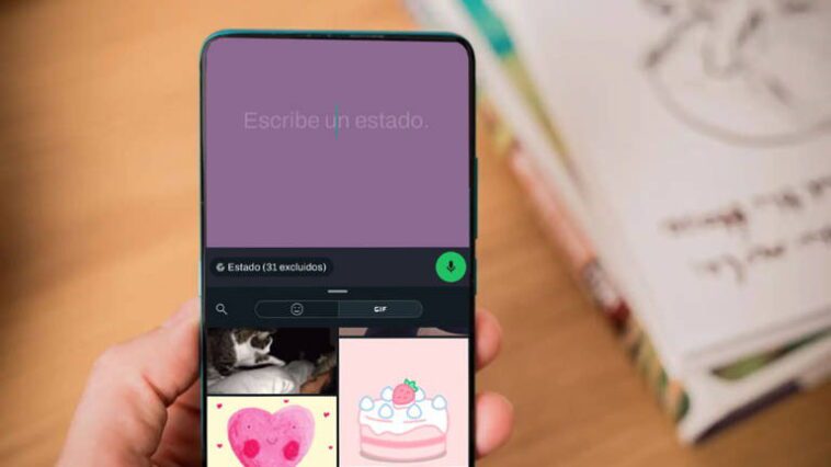 Comment mettre un GIF dans l'état de WhatsApp 1 Comment mettre un GIF dans le statut de WhatsApp