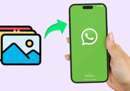 Comment publier deux photos en même temps dans les statuts de WhatsApp