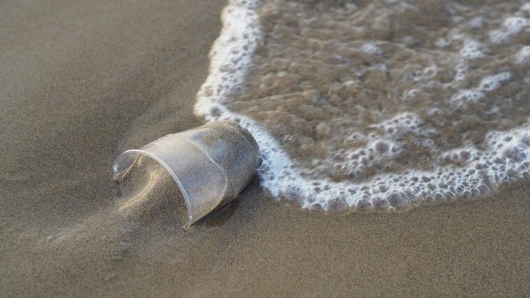 Création d'une plastiques révolutionnaire qui se décompose dans la terre et la mer sans libérer de microplastiques 1 Image