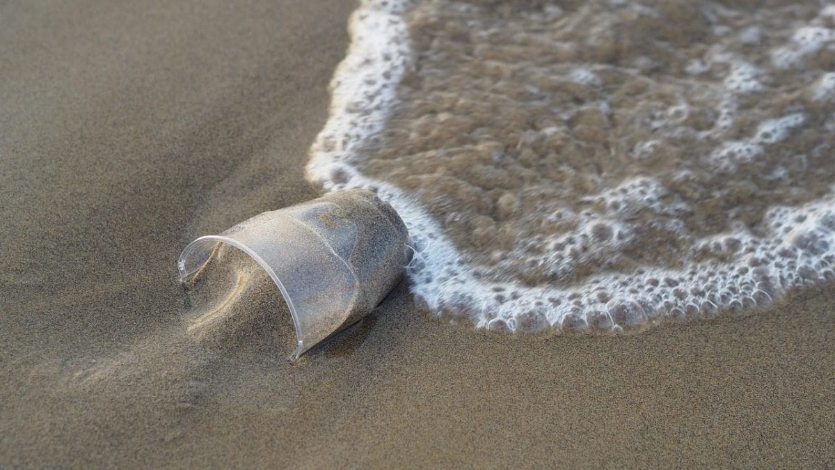 Création d'une plastiques révolutionnaire qui se décompose dans la terre et la mer sans libérer de microplastiques 2 Image